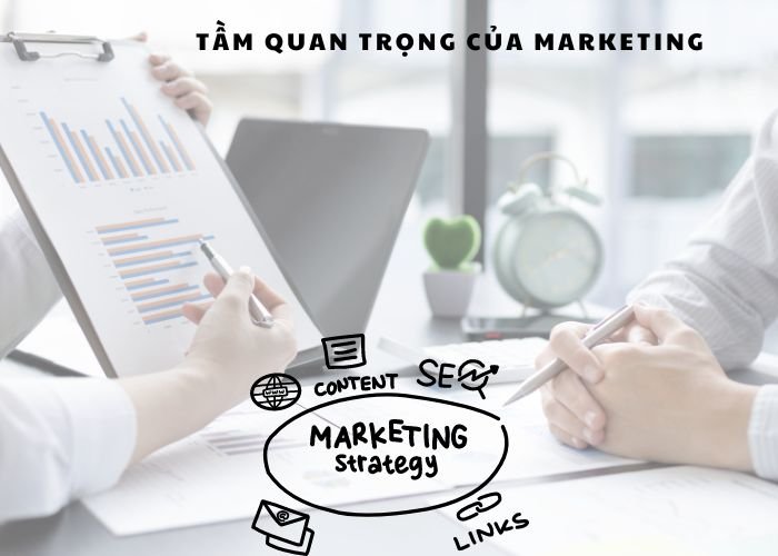 Tầm quan trọng của marketing